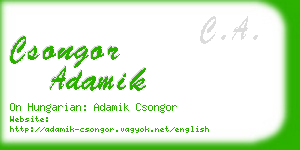 csongor adamik business card